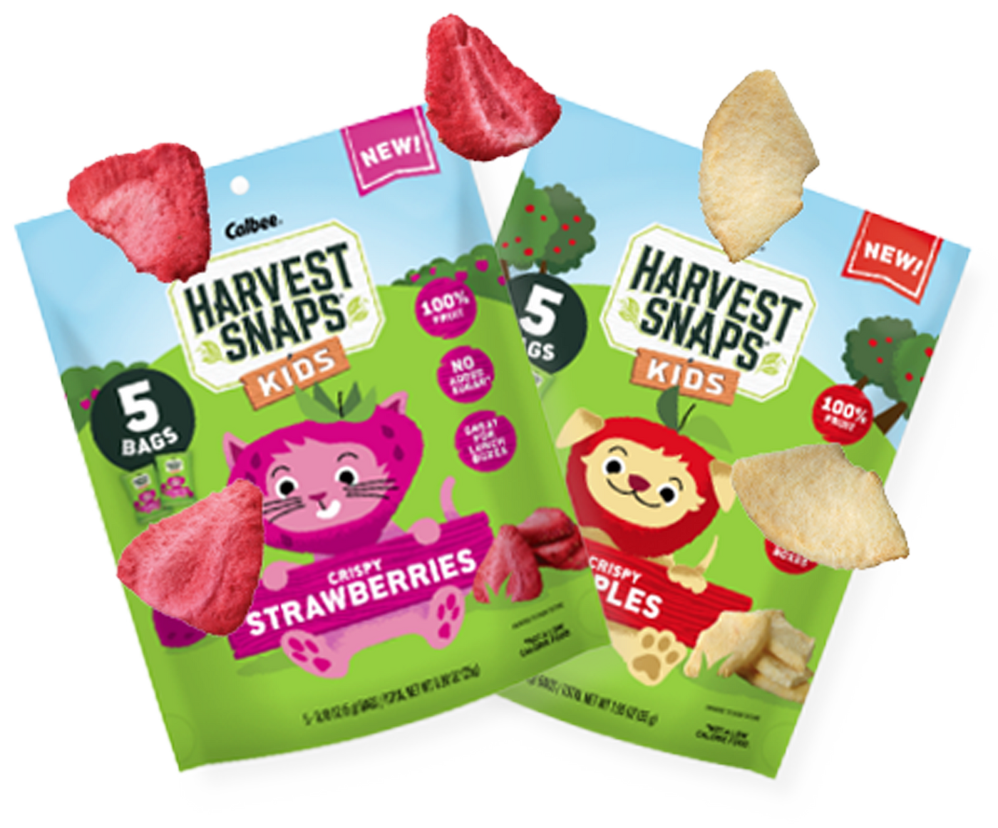 Kids Crispy Fruit Snacks